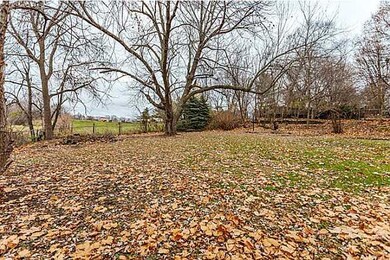 Yard/Garden.
