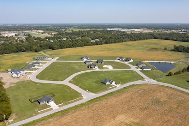Aerial view of subdivision