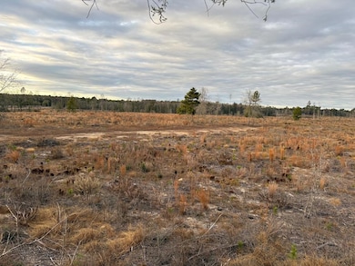 17.65 Acres Alabama 87, Samson, AL 36477 - photo 3