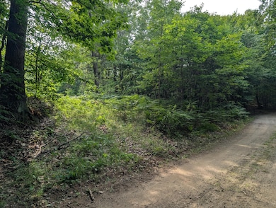 0 N Weber Rd, Muskegon, MI 49445 - photo 6