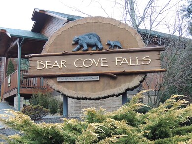 906 Mcmakin Way, Pigeon Forge, TN 37863 - photo 3