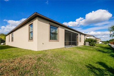 11617 Brighton Knoll Loop, Riverview, FL 33579 - photo 5