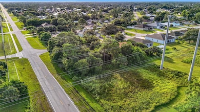 Un-cleared Lot Aerial view