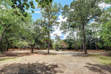 421 Blalock Rd, Houston, TX 77024 - photo 4