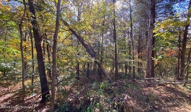 River View Fall247