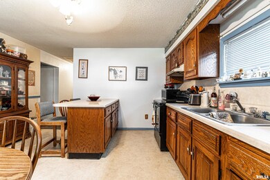 320 Willard Ave, Lincoln, IL 62656 - photo 7