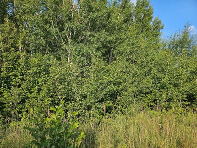 Track B Highway 87, Backus, MN 56435 - photo 4