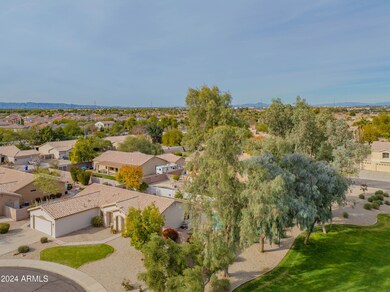 craigrootimaging_ecc-23