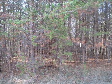 N31 Mountain Laurel Dr, Salem, SC 29676 - photo 2