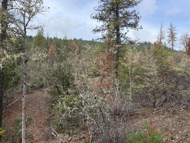 0 E Evans Creek Rd unit 10149531, White City, OR 97503 - photo 7