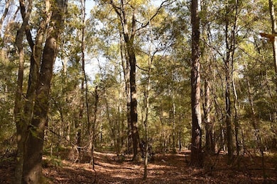 1220 SE US Highway 301 unit LotWP001, Hawthorne, FL 32640 - photo 3