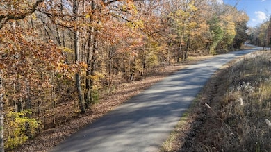 0 Cuba Landing Rd unit RTC3059778, Waverly, TN 37185 - photo 5