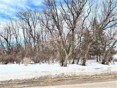 40507 Pine View Dr, Sauk Centre, MN 56378 - photo 7