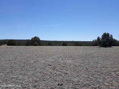 Lot 390 Unit 4 Juniperwood Ranch, Ash Fork, AZ 86320 - photo 2