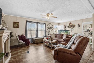Living room featuring ceiling fan, wood-type floor