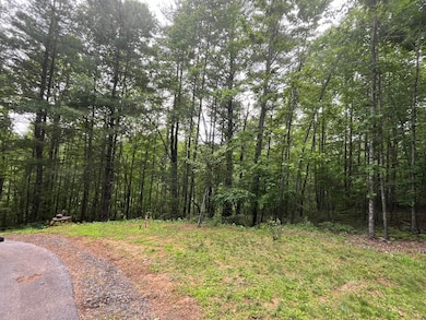 TBD Cranberry Creek Rd unit 15, Laurel Springs, NC 28644 - photo 2