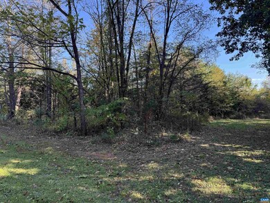 18 Black Walnut Ln unit 1-H B3, Nellysford, VA 22958 - photo 4