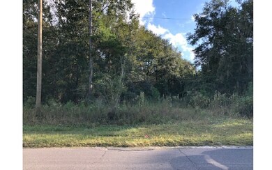 988 NW Moore Rd, Lake City, FL 32055 - photo 4