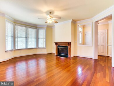 5437 Mongoose Ct, Warrenton, VA 20187 - photo 5