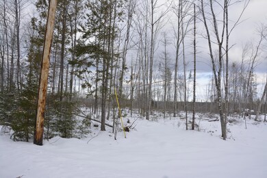 _DSC0003