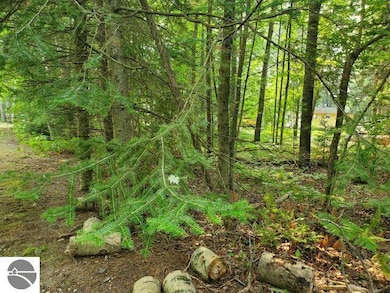 0 Rivers Terrace Rd unit 55, Gladwin, MI 48624 - photo 5