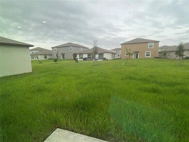 31688 Sun Kettle Loop, Wesley Chapel, FL 33545 - photo 5