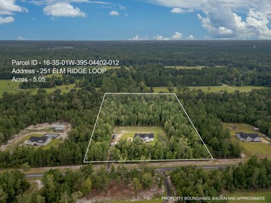 251 Elm Ridge Loop, Crawfordville, FL 32327 - photo 6