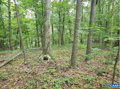 0 Dooley Dr unit 24 594552, Basye, VA 22810 - photo 7