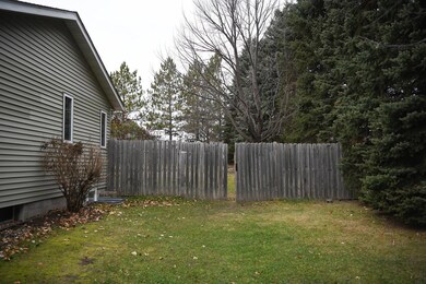 222 Lakeview Dr, Spicer, MN 56288 - photo 6