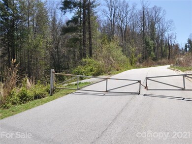 36.35 ACRES Half Moon Trail, Hendersonville, NC 28792 - photo 6