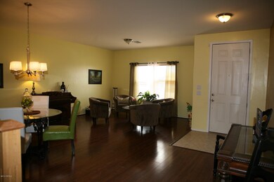 IMG_9213 [50%]