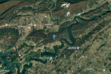 9098 Paradise View Dr, Mooresburg, TN 37811 - photo 3