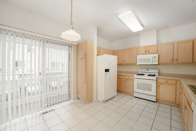 9339 Harrison St unit 471493, Des Plaines, IL 60016 - photo 3