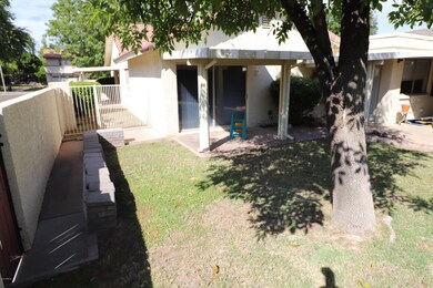 Back & Side Yard