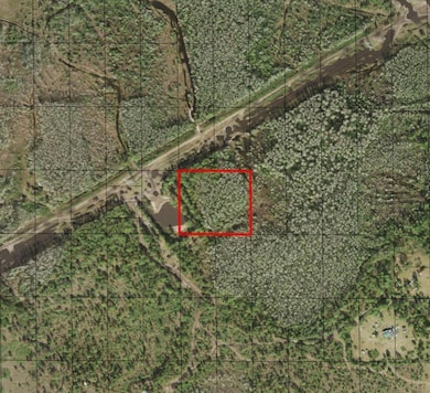 0 Holopaw Groves Rd unit F10536884, Saint Cloud, FL 34772 - photo 3