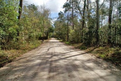 0 Chippewa Rd unit 278477, Crawfordville, FL 32327 - photo 2