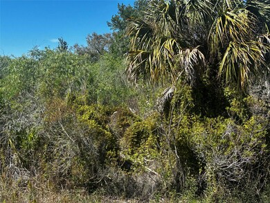 19093 NW 302nd St, Okeechobee, FL 34972 - photo 2
