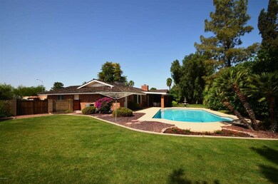 Beautiful Backyard