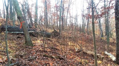 X Pot o Gold Rd, Oakland, WI 54830 - photo 4