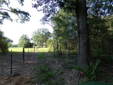 30354 Hegar Rd, Hockley, TX 77447 - photo 5