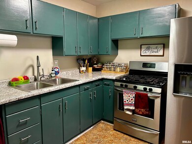 1633 N Ottawa St, Lincoln, IL 62656 - photo 6