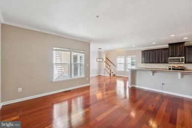 22626 Shining Harness St, Clarksburg, MD 20871 - photo 4