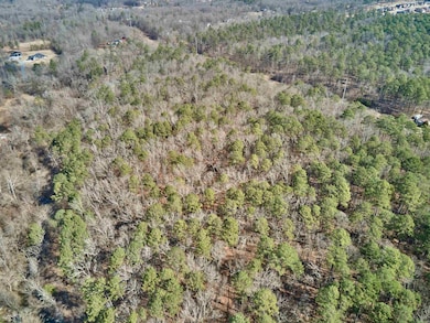 TBD W Longhills, Benton, AR 72015 - photo 4