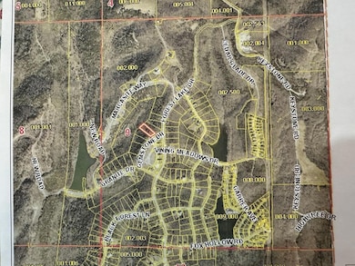 292 Gemstone (Lot 292), Branson West, MO 65737 - photo 3