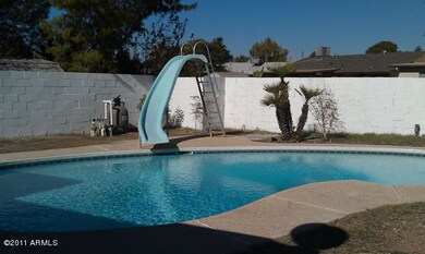 Diving Pool with Slide and New Equipment