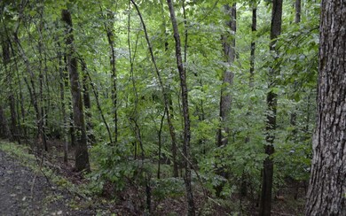 Additional View