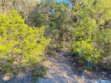 000 Frio Canyon Loop unit 16, Concan, TX 78838 - photo 4