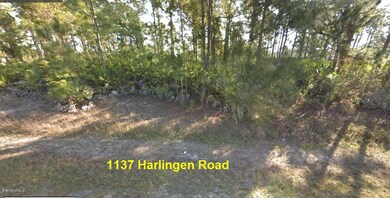Front View = 1137 Harlingen Rd = MLS