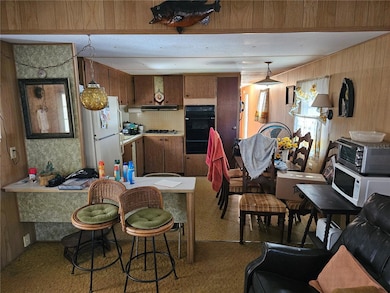 12131 Browns Canal Dr, Clermont, FL 34711 - photo 4