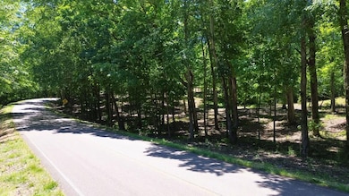 8121 Lick Creek Rd, Big Sandy, TN 38221 - photo 3